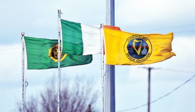 Ballyholland flags