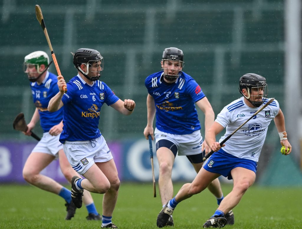 Heady heights for the Cavan hurlers - Gaelic Life