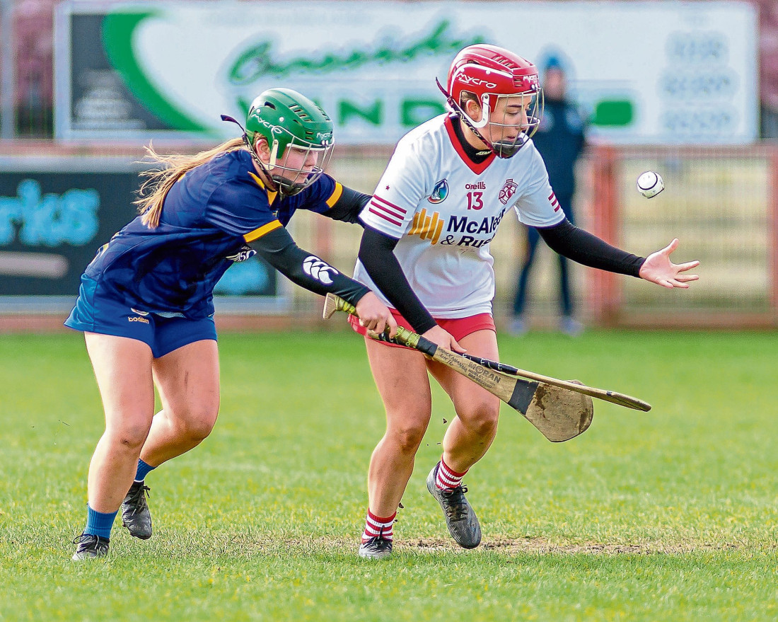 Tyrone camogs guarding against complacency - Gaelic Life