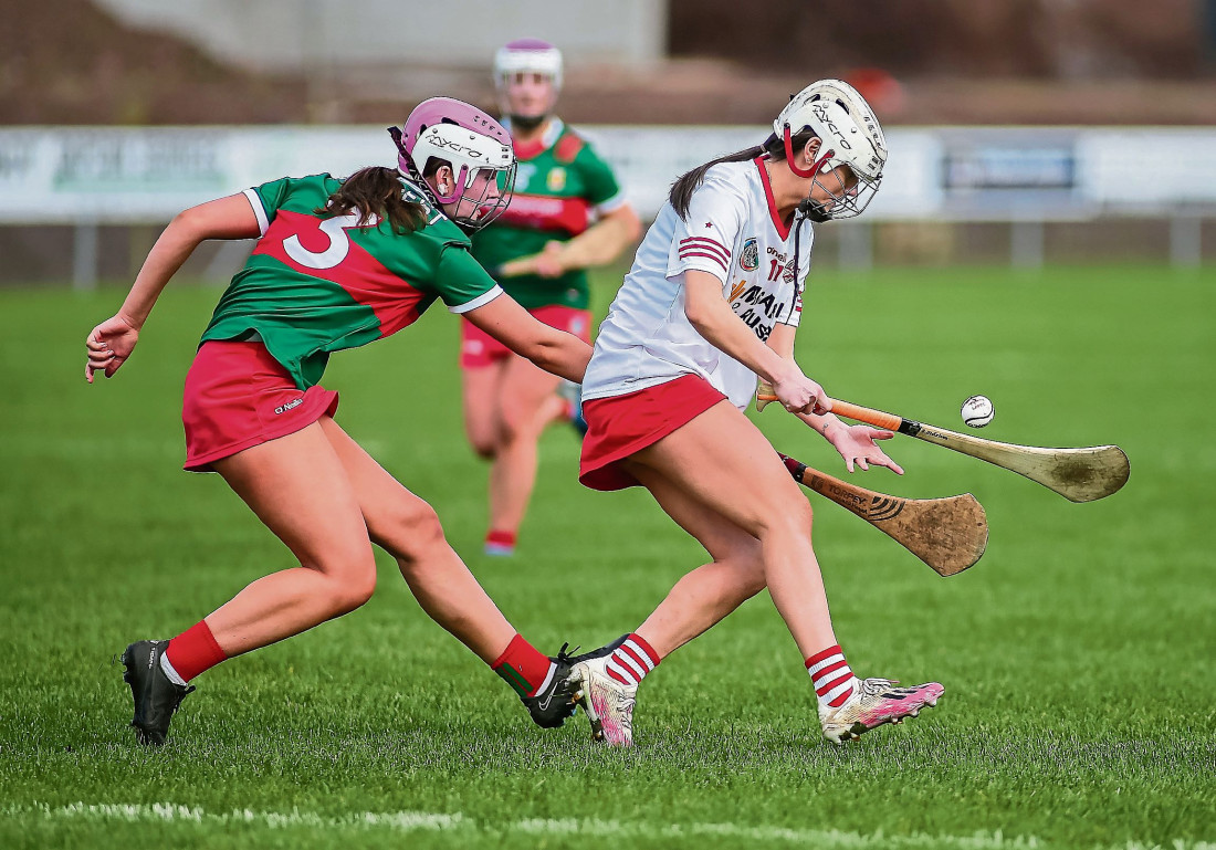 Tyrone camogs face into a stiffer test - Gaelic Life