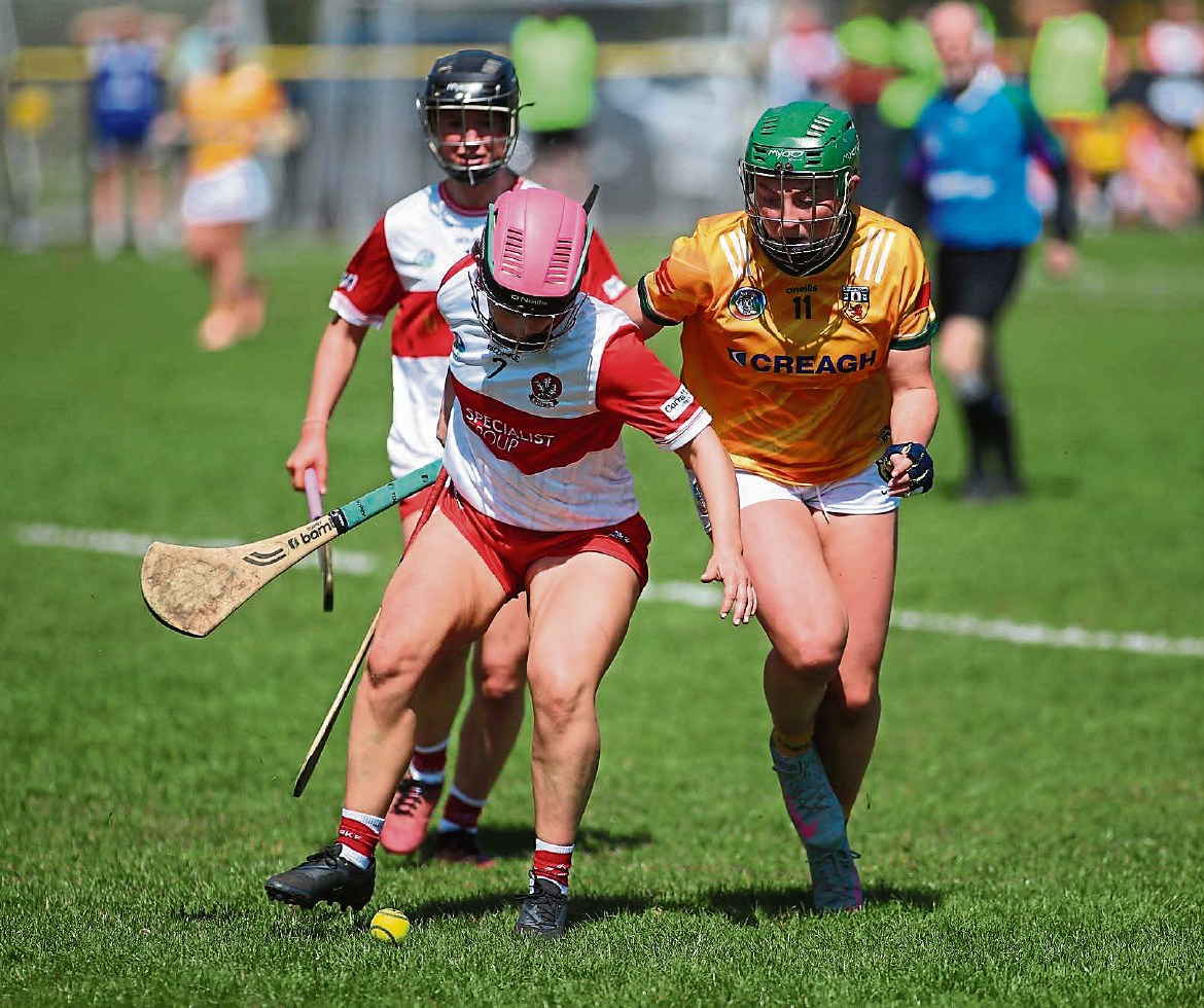 McGill confident Derry can progress to the semi-finals - Gaelic Life